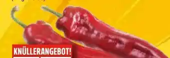 EDEKA Bandelt Rote Spitzpaprika Angebot