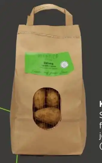 REWE Center Werner Genusskultur Kartoffeln Belana Angebot