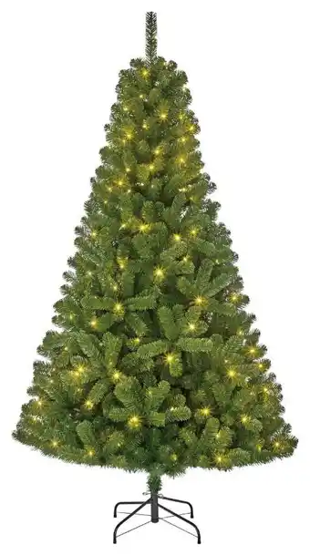 Mömax Weihnachtsbaum Charlton Angebot