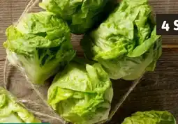 REWE Rewe Feine Welt Römersalat Extra fein Angebot