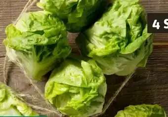 REWE Rewe Feine Welt Römersalat Extra fein Angebot