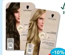 Budni Schwarzkopf Creme Supreme Coloration Angebot