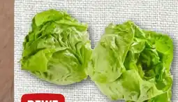 nahkauf Rewe Beste Wahl Kopfsalatherzen Angebot