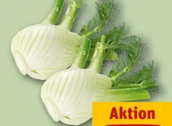 REWE Fenchel Angebot