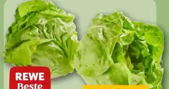 REWE Rewe Beste Wahl Kopfsalatherzen Angebot