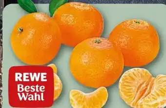 REWE Rewe Beste Wahl Mandarinen Angebot