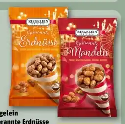 REWE Riegelein Confiserie Gebrannte Erdnüsse Angebot
