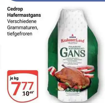 Globus Krakauer land cedrop hafermastgans Angebot