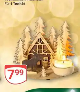 Globus Teelichthalter waldhütte Angebot