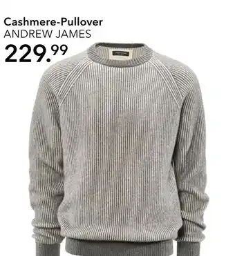 Peek & Cloppenburg Hamburg Andrew james cashmere-pullover Angebot
