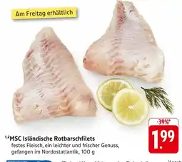 Edeka Msc isländische rotbarschfilets Angebot
