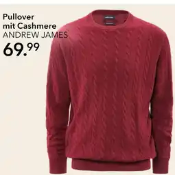 Peek & Cloppenburg Hamburg Andrew james pullover mit cashmere Angebot