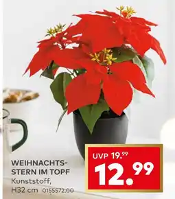porta Weihnachtsstern im topf Angebot