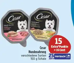 Edeka Cesar hundenahrung Angebot