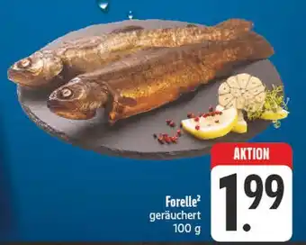 E-Center Forelle² Angebot