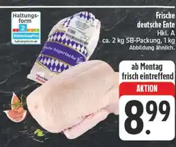 E-Center Frische deutsche ente Angebot