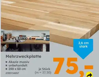 Globus Baumarkt Mehrzweckplatte Angebot
