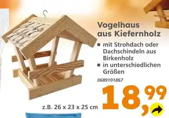 Globus Baumarkt Vogelhaus aus kiefernholz Angebot