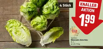 REWE Rewe feine welt römersalat Angebot