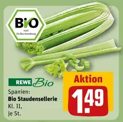 REWE Rewe bio bio staudensellerie Angebot