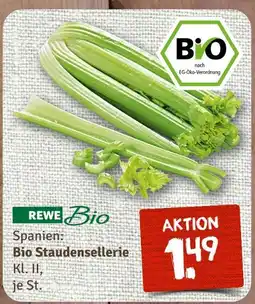 nahkauf Rewe bio bio staudensellerie Angebot
