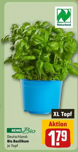 REWE Rewe bio bio basilikum Angebot