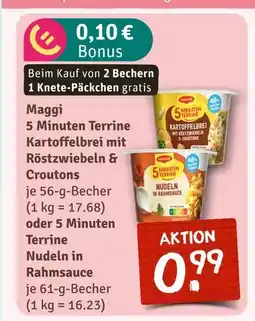 nahkauf Maggi 5 minuten terrine kartoffelbrei mit röstzwiebeln & croutons Angebot