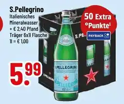 trinkgut S.pellegrino Angebot