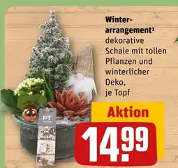 REWE Winter-arrangement Angebot