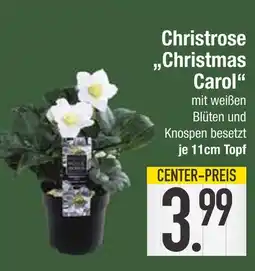 Edeka Christmas carol Angebot