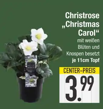 Edeka Christmas carol Angebot