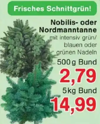 Jawoll Nobilis oder Nordmanntanne Angebot