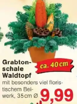 Jawoll Grabtonschale Waldtopf Angebot