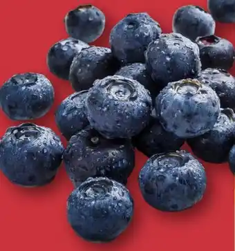 Aldi Nord Kulturheidelbeeren Angebot