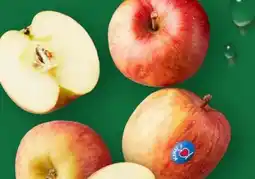 Aldi Nord Kiku Tafeläpfel Angebot