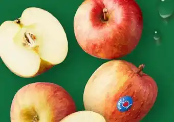 Aldi Nord Kiku Tafeläpfel Angebot