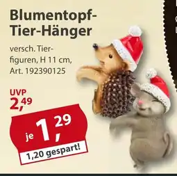 Sonderpreis Baumarkt Blumentopf- Tier-Hänger Angebot