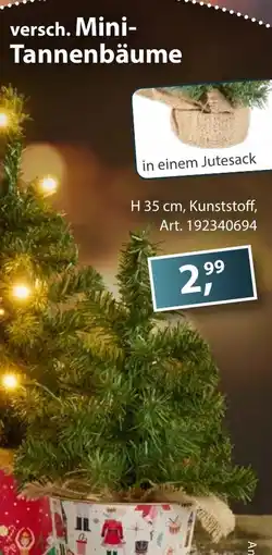 Sonderpreis Baumarkt versch. Mini- Tannenbäume Angebot