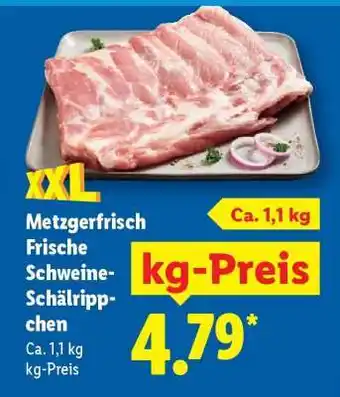 Lidl Metzgerfrisch Frische Schweine-Schälrippchen Angebot