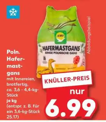 Kaufland Poln. Hafermastgans Angebot