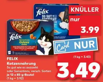 Kaufland felix Katzennahrung Angebot