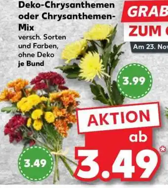 Kaufland Deko-Chrysanthemen oder Chrysanthemen-Mix Angebot