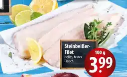 Famila Nord Ost Steinbeißer-Filet Angebot