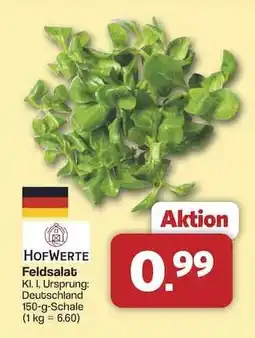 Famila Nord Ost Feldsalat Angebot