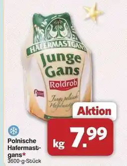 Famila Nord Ost Polnische Hafermastgans Angebot