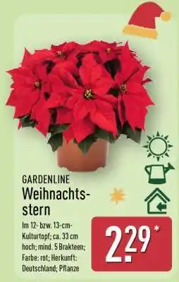 Aldi Nord GARDENLINE Weihnachtsstern Angebot