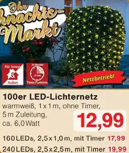 Wiglo Wunderland 100er LED-Lichternetz Angebot