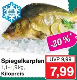 Wiglo Wunderland Spiegelkarpfen Angebot