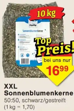 Wiglo Wunderland XXL Sonnenblumenkerne Angebot