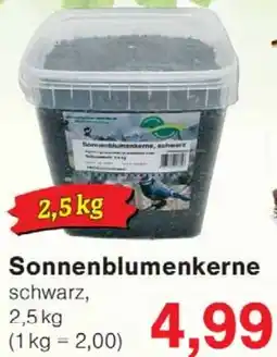 Wiglo Wunderland Sonnenblumenkerne Angebot